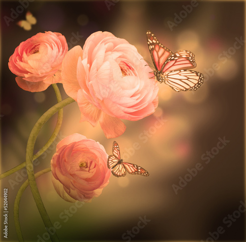 Bouquet of pink roses against a dark background  butterfly