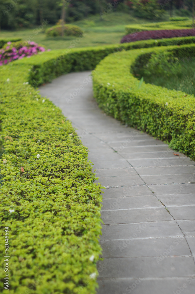 Path in garden Path in garden