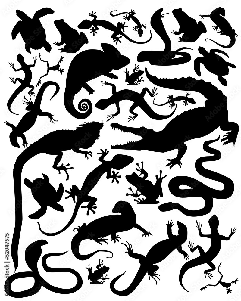 Fototapeta premium silhouette of reptiles and amphibians