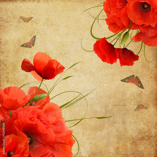 Vintage greeting card with poppies and butterflies