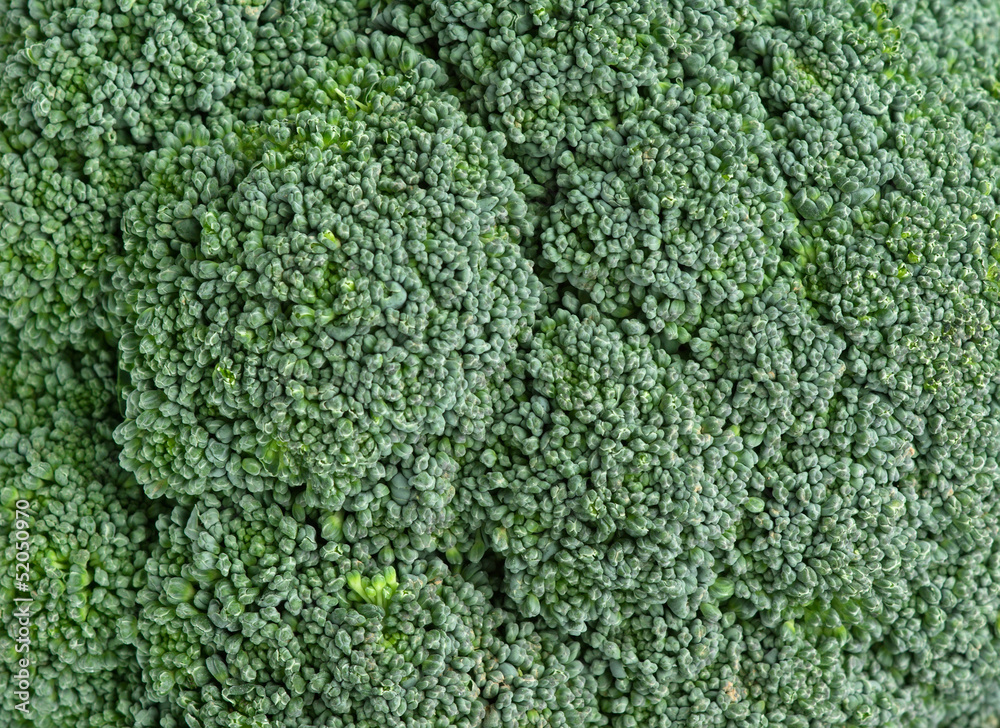 Healthy broccoli closeup Healthy broccoli closeup