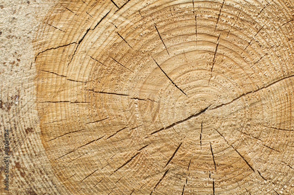 Naklejka premium Background of split wood