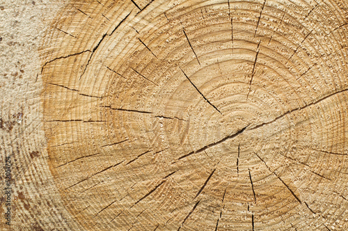 Background of split wood
