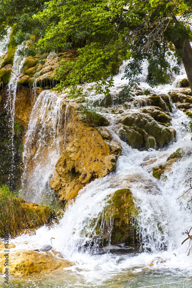 Obraz premium Nationalpark Krka (Kroatien, Dalmatien)