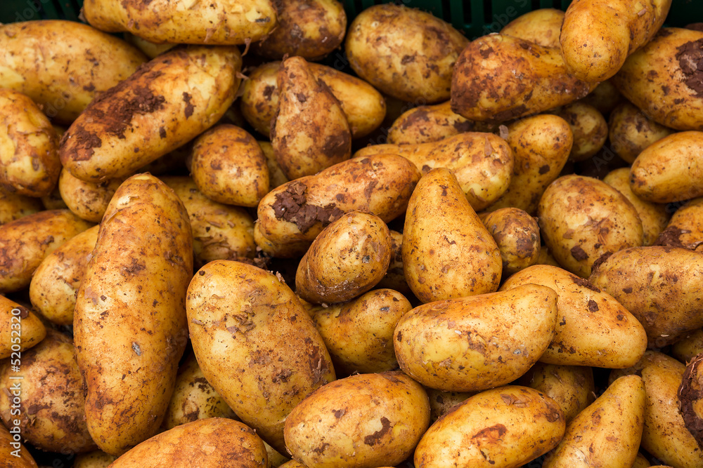 Potatoes for selling at vegetable market. Potatoes for selling at vegetable market.
