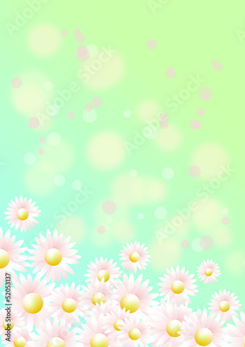 Hintergrund mit Gänsebümchen