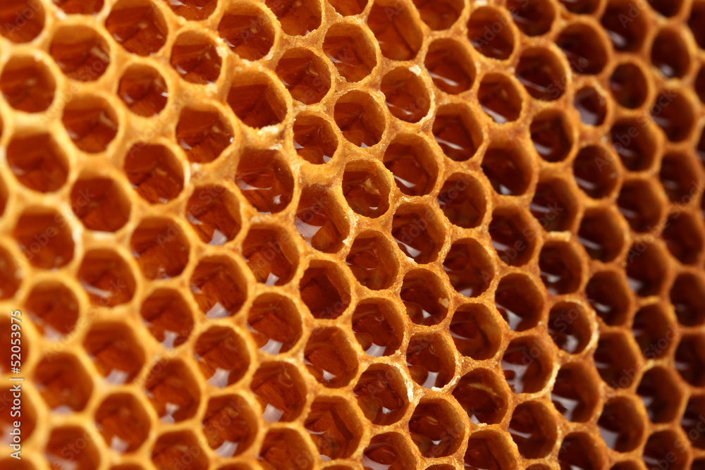 yellow beautiful honeycomb with honey, background yellow beautiful honeycomb with honey, background