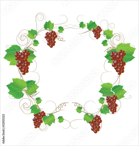 Grape wine concept
