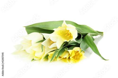 Fototapeta Naklejka Na Ścianę i Meble -  Beautiful white tulips isolated on white