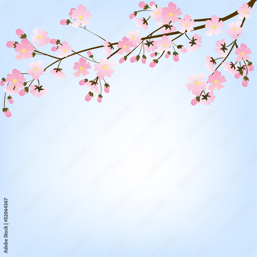 Fototapeta premium tree branch