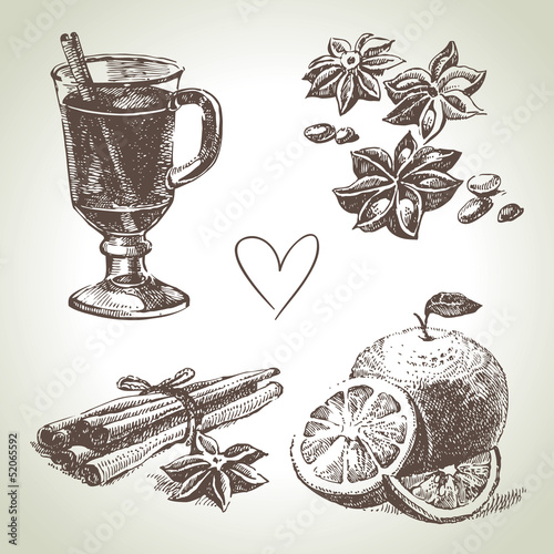 Set of mulled wine, fruit and spices, hand drawn illustrations