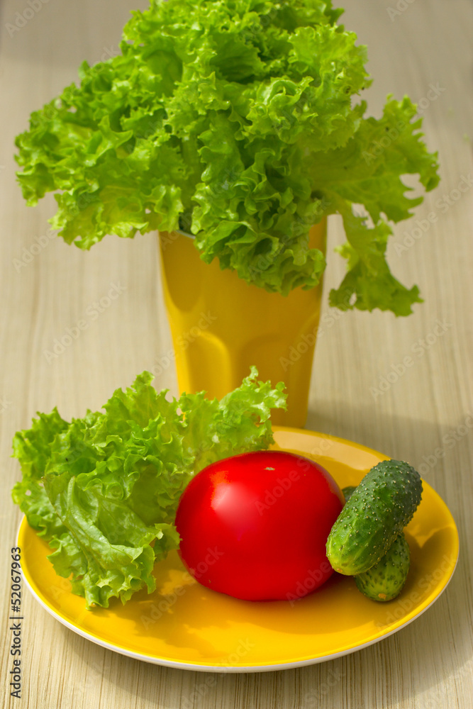 Tomato, cucumber and lettuce salad Tomato, cucumber and lettuce salad