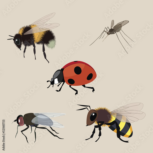 realistic flying insects a vector collection © cyberok