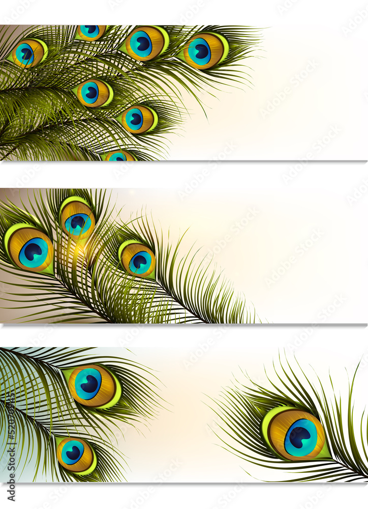 Business cards vector set with peacock ferns
