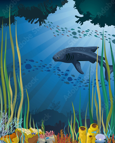 Whale shark and coral reef.