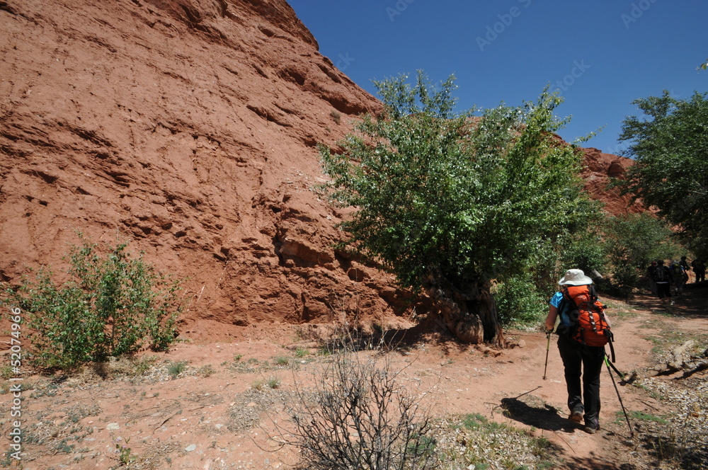 Naklejka premium Vallée des Roses Maroc Atlas Berbère
