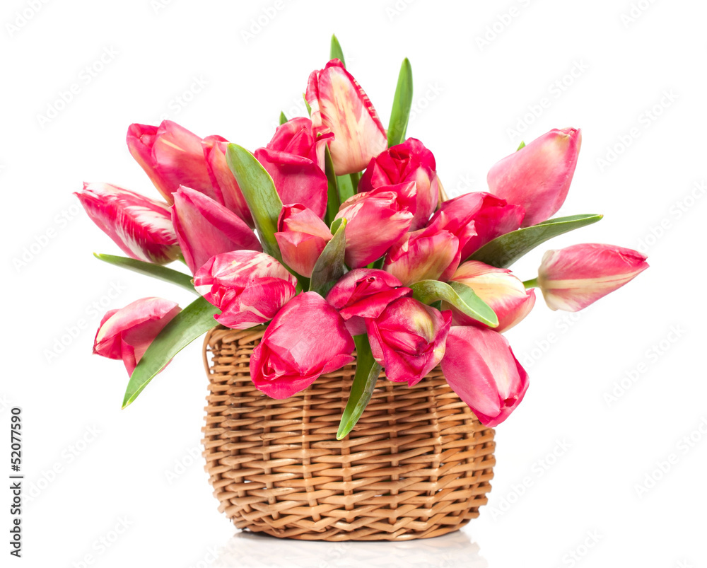 Obraz premium tulips in a wicker basket