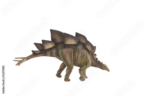 Stegosaurus dinosaur against white background © Pedro Bigeriego