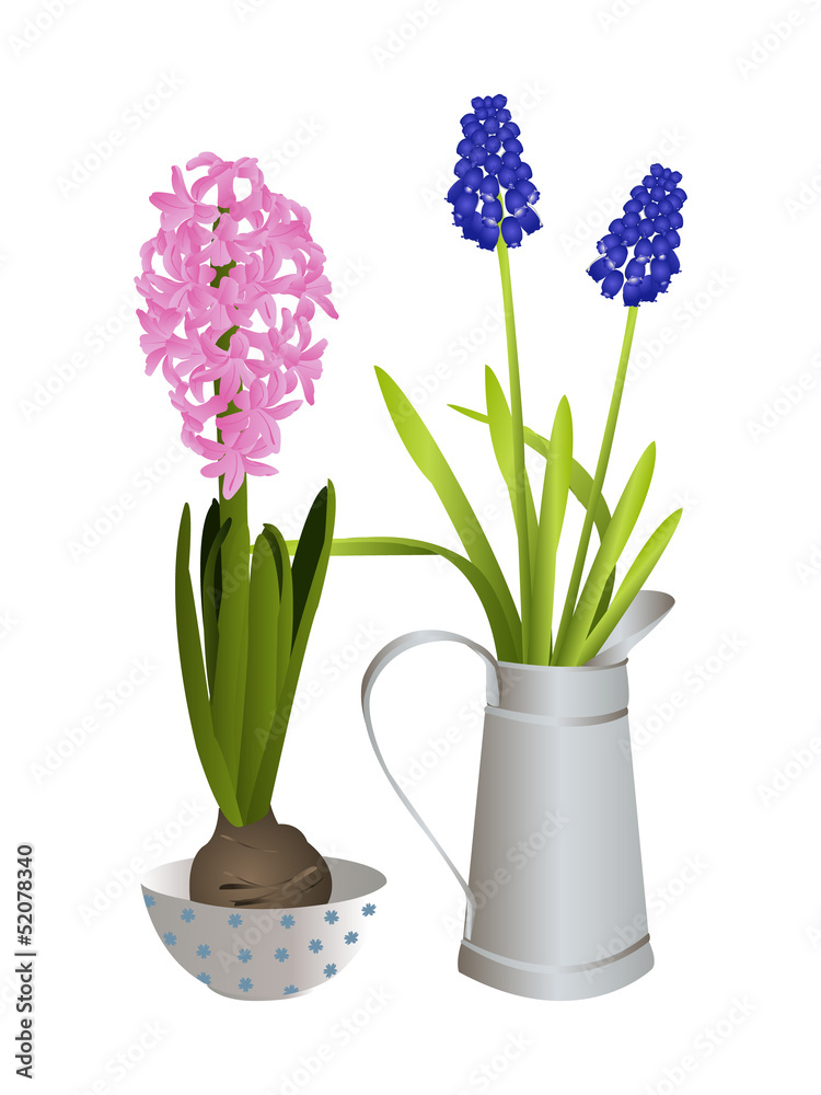 Spring flowers Spring flowers