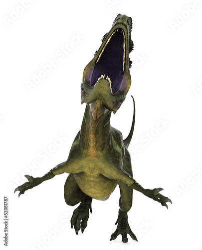 Yangchuanosaurus crazy photo