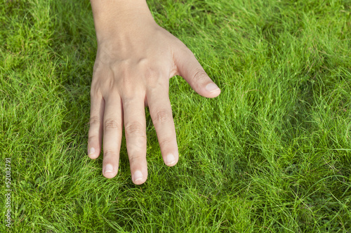 Hand on  grass © tanawatpontchour