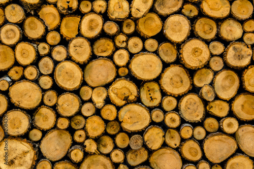 CUT WOOD BACKGROUND