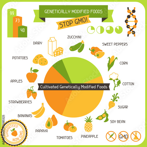 Information Poster Genetically Modified Foods