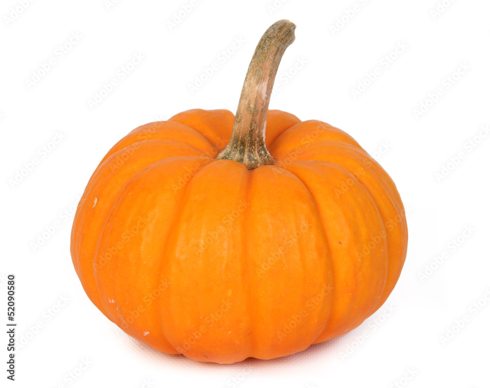 small pumpkin small pumpkin