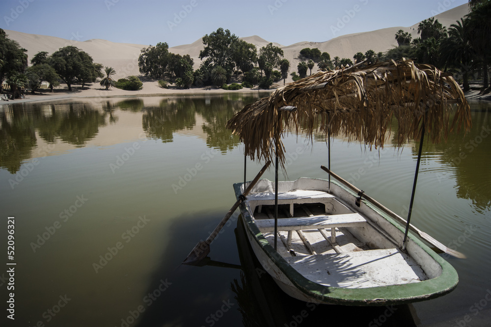 Obraz premium Oasis