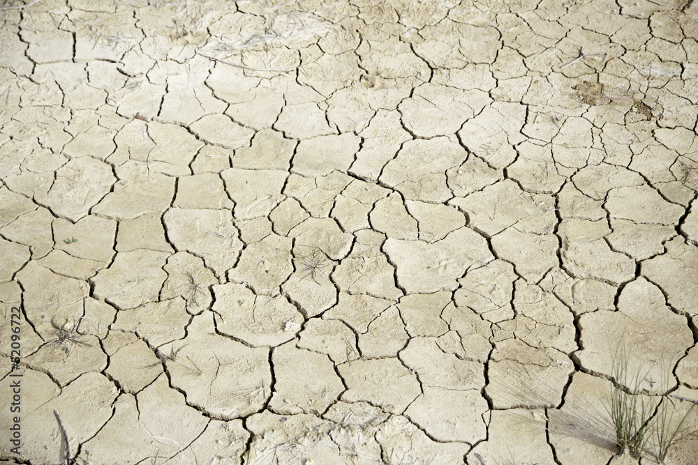Dry land Dry land
