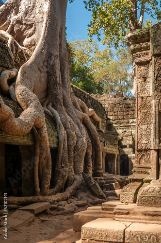 Roots at The Roof