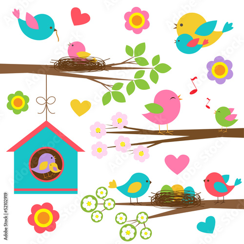 Family of birds