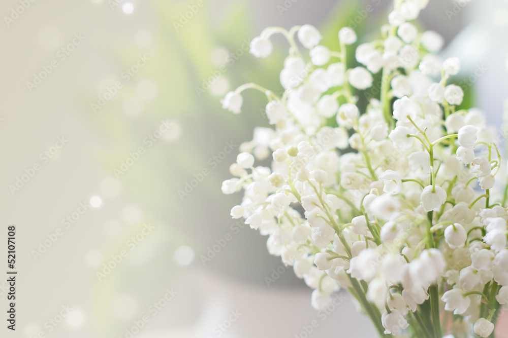 Naklejka premium Lily of the valley