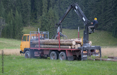 Loading Cut Trees on a Car, Truck