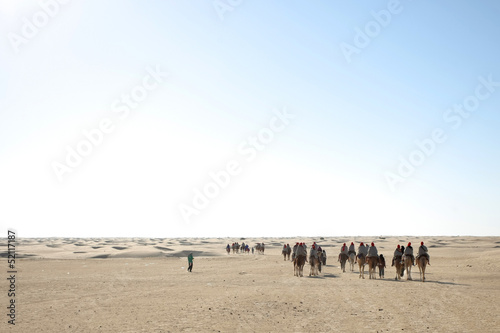 Group of tourists on camels