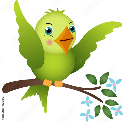 Green bird on tree branch