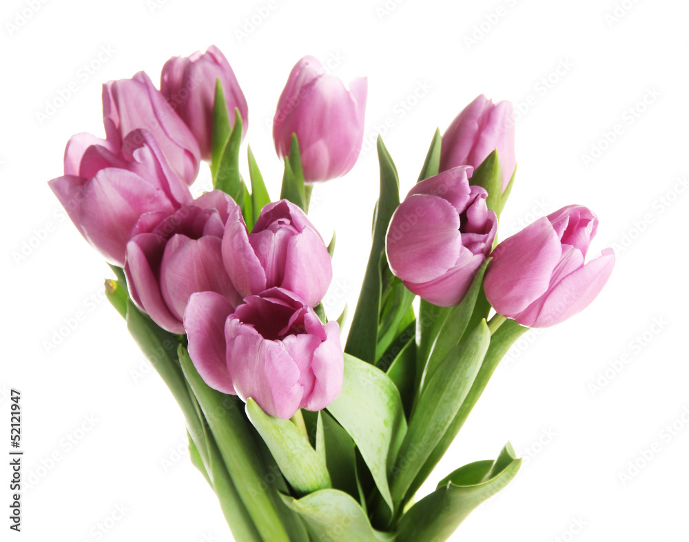 Beautiful bouquet of purple tulips, isolated on white Beautiful bouquet of purple tulips, isolated on white