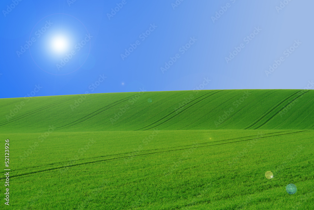 Obraz premium Rolling farmland