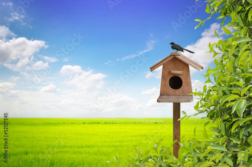 Photo birdhouse and bird with meadow background