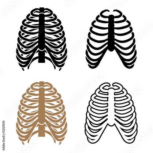 vector human rib cage symbols
