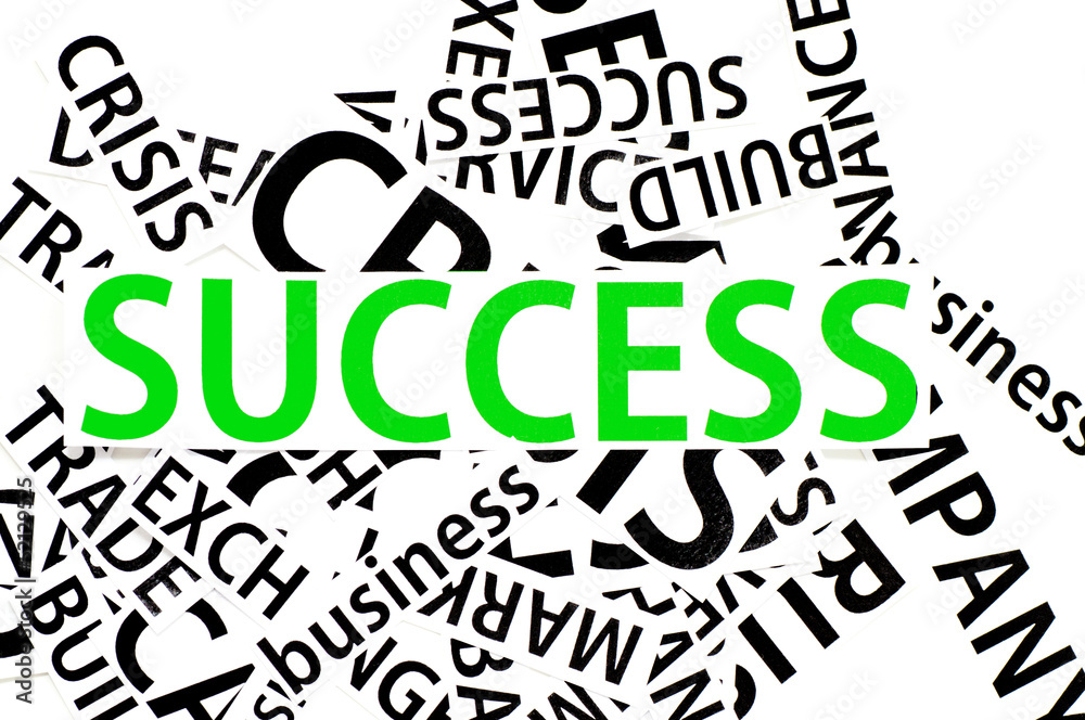 Obraz premium The sections of the paper on success