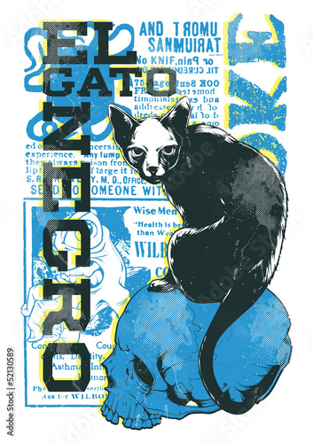 El gato negro