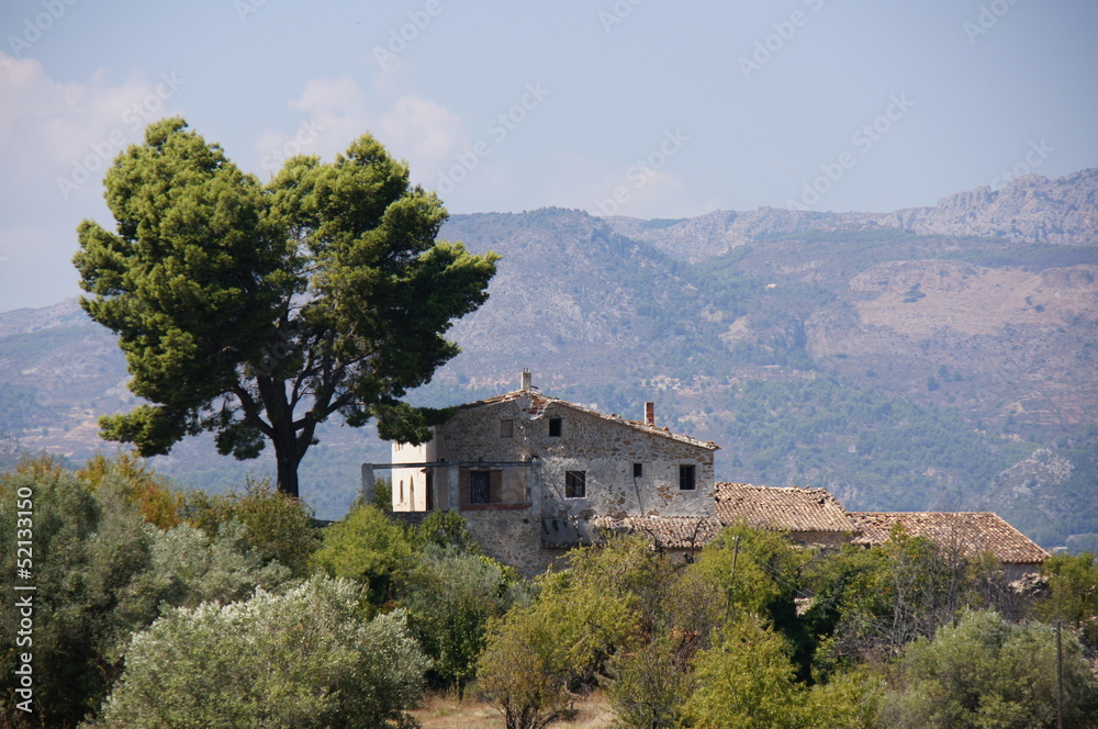 Guadalest casa y pino