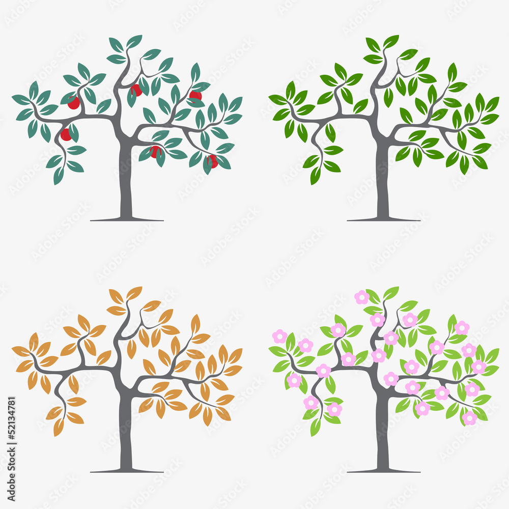 Obraz premium Seasonal trees