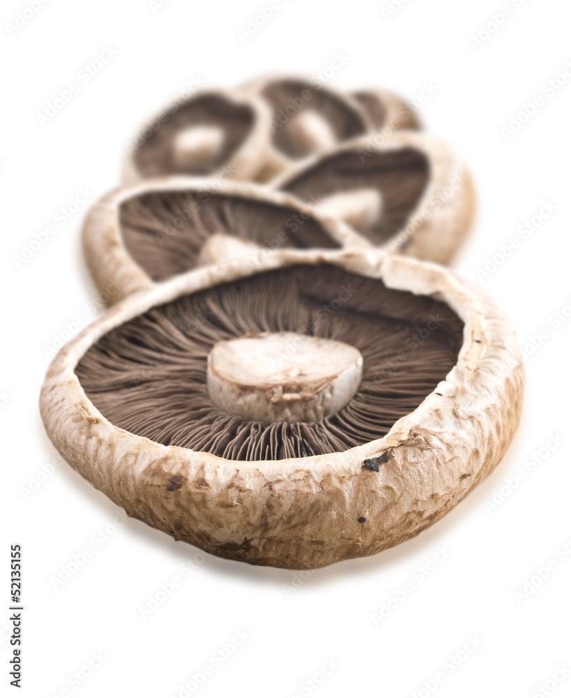 Healthy fresh mushroom on white background Healthy fresh mushroom on white background