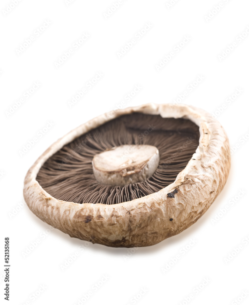 Healthy fresh mushroom on white background Healthy fresh mushroom on white background