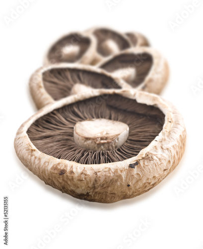 Healthy fresh mushroom on white background