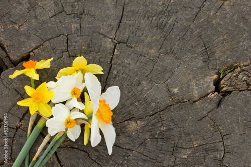 Bunch of fresh daffodils on wooden background © daffodilred