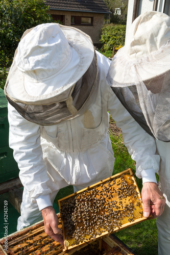 Two beekeepers maintaining bee hive