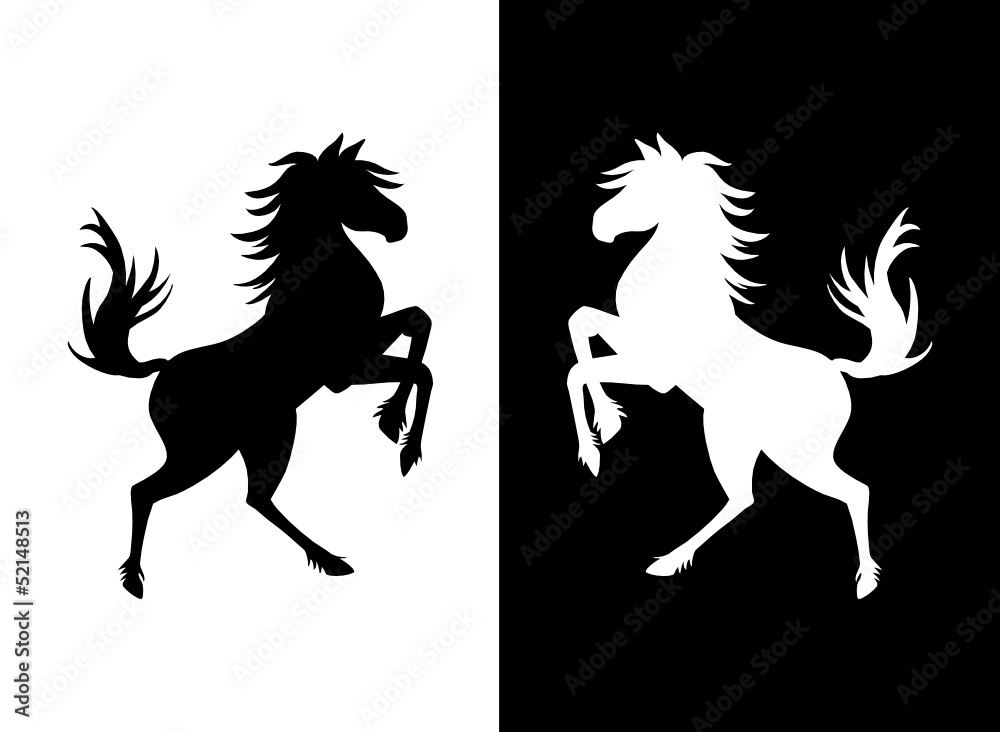 Silhouette von Pferd in schwarz und weiß Silhouette von Pferd in schwarz und weiß